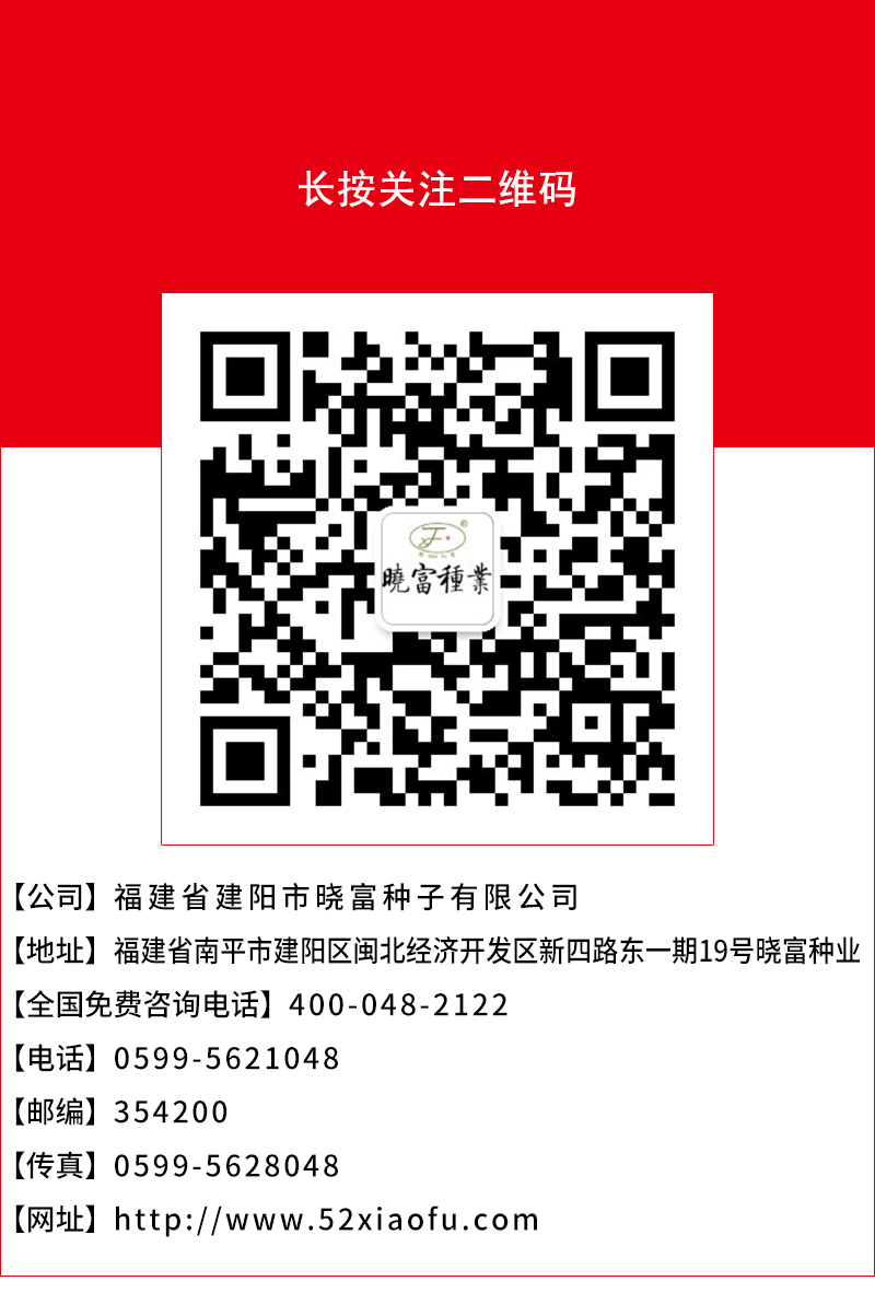 頁底